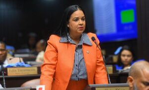 Diputada Díaz advierte cesantía laboral representa seguridad para muchas familias