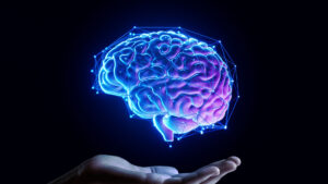 Estudio revela que la pérdida de memoria con la edad afecta a todo el cerebro y no solo al hipocampo