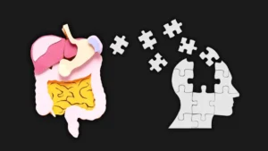 Una mala conexión entre el aparato digestivo y el cerebro daña la memoria