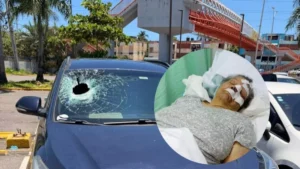 Joven denuncia agresión con piedra en Las Américas que dejó herida a su abuela de 79 años