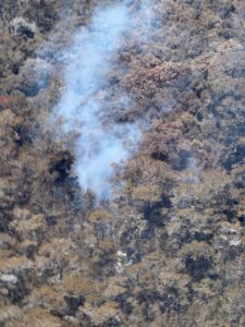 Más de 120 bomberos forestales combaten incendio en la Sierra de Bahoruco