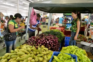 El costo de la vida se encareció un 5.35 % en el último año