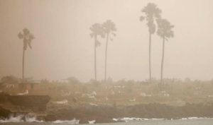 ¡Tomen precaución! Incrementarán alergias respiratorias, oculares y cutáneas por nueva nube sahariana