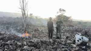 Defensa y Medio Ambiente lanzan operación para recuperar seis áreas protegidas del país
