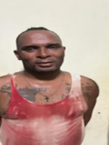 PN rescata a mujer víctima de violencia doméstica y apresa a su pareja en Los Guandules, DN